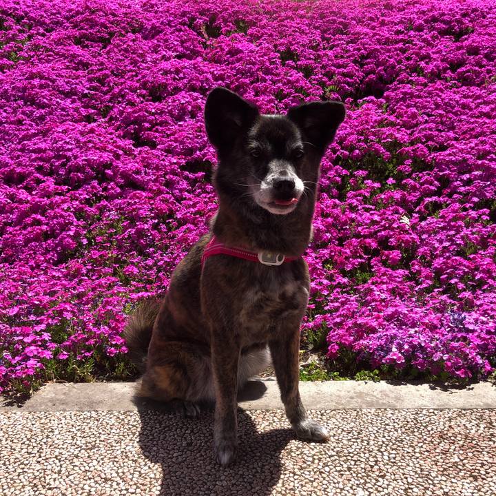 6c625bcd 8310 44f4 9b31 be228c131d94 1650528244838