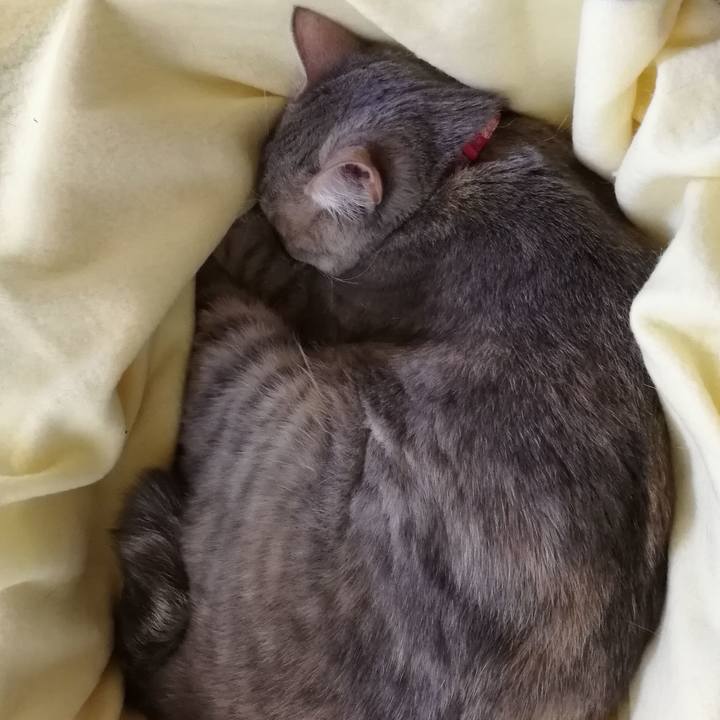 6c628035 9d43 40d1 ad32 627b974bb386 1520219675360