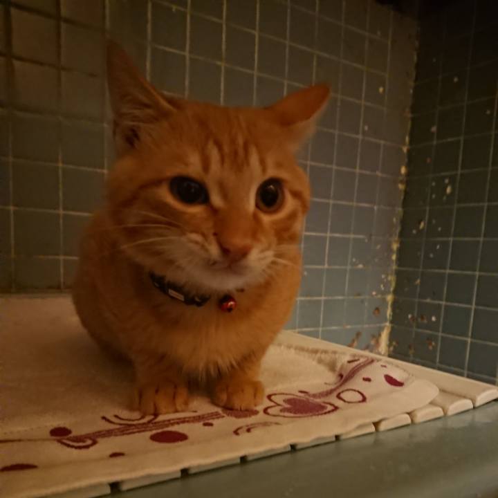 6c62805c 05fa 489d acf7 00938d0e6c33 1634549128432