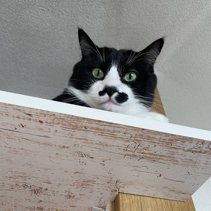 6c629434 3830 4be1 ad59 b042e7b98e6f 1671934504799