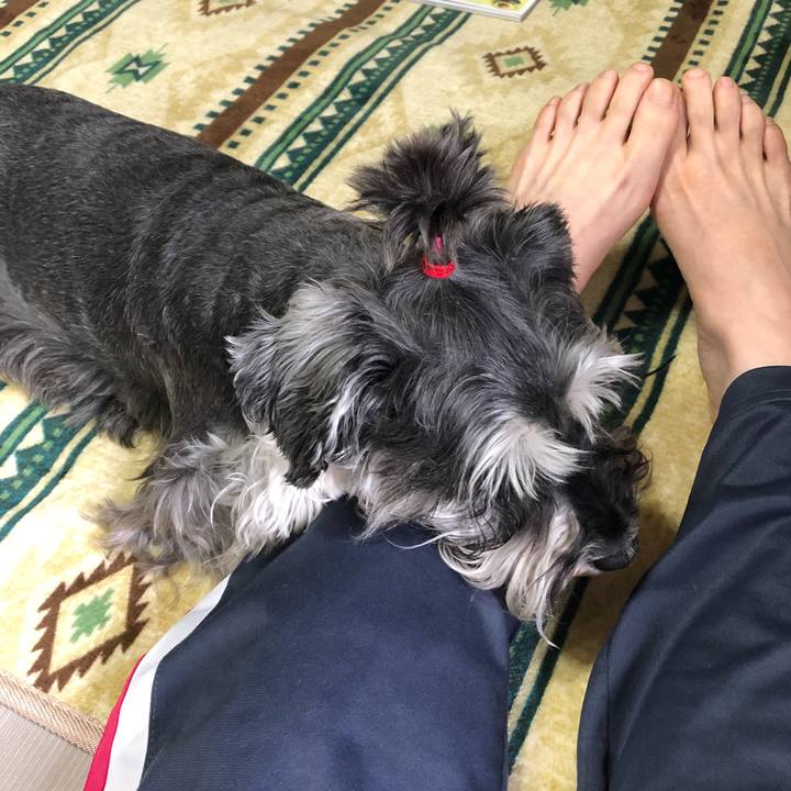 6c62a8a8 bc9d 4204 bef4 80577c0ea144 1620537055135