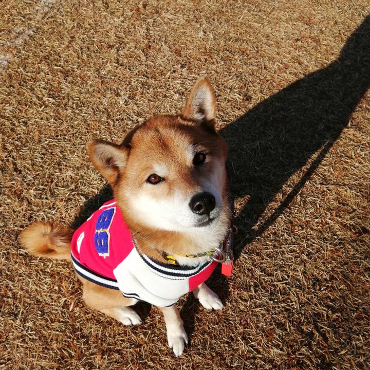 6c62d0a3 447e 40aa a22e 364d8f589c2b 1608252753221