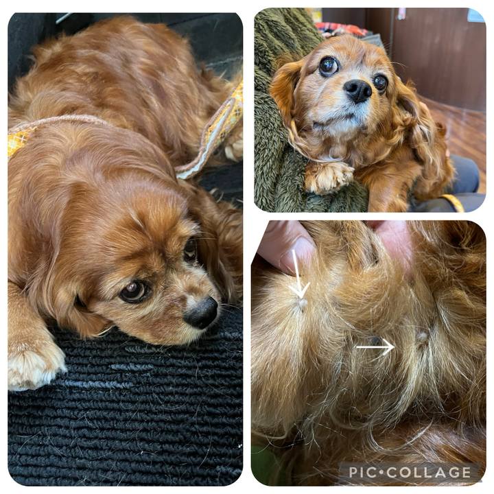 6c62ee75 141f 4f67 bd7f 80698da3d7d6 1709462668869