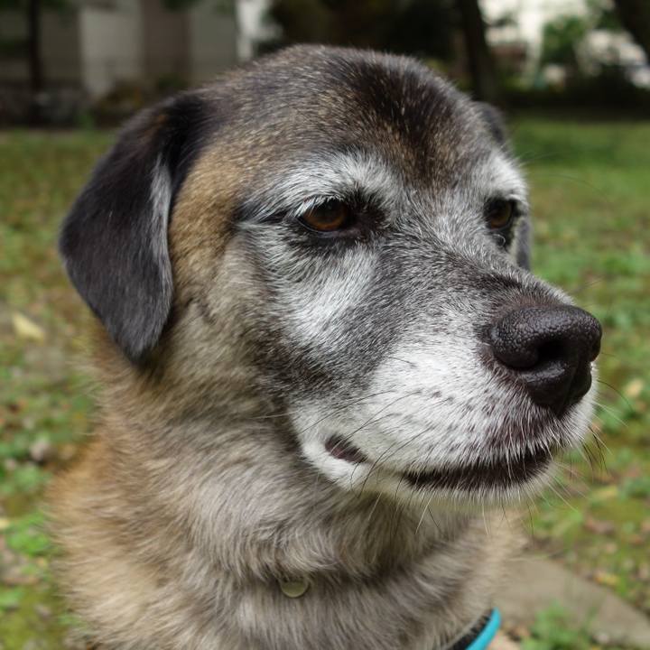 6c632f39 cea6 46f3 8cb0 77db827a6480 1616460558875