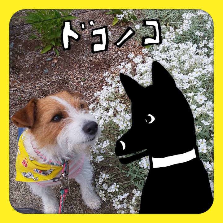 6c634bbb 2eb6 41c1 b6e7 ad461b828ebe 1622887513057