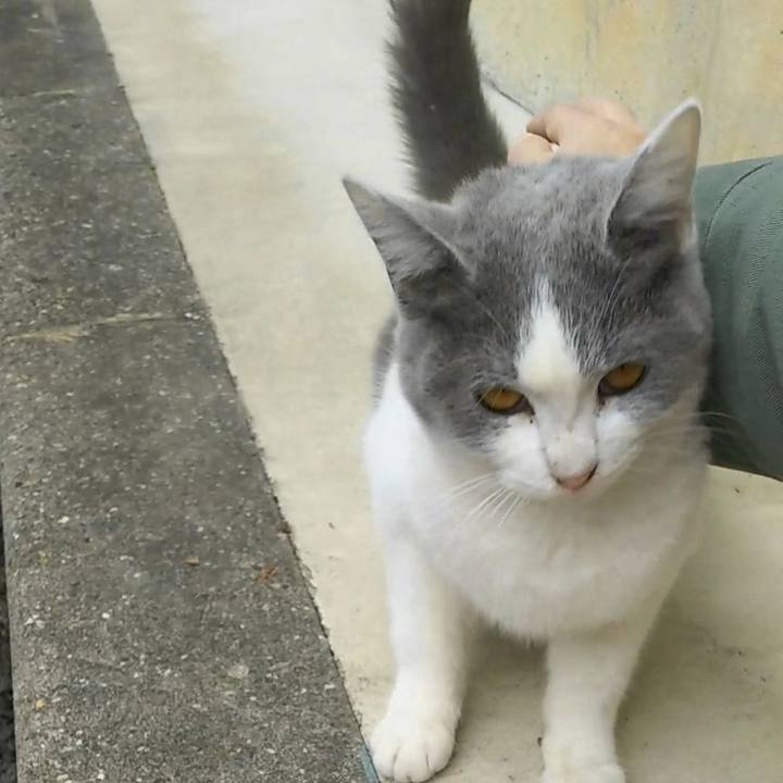 6c637b71 7174 4eac 855e 77b3a2cd4d35 1573981151908