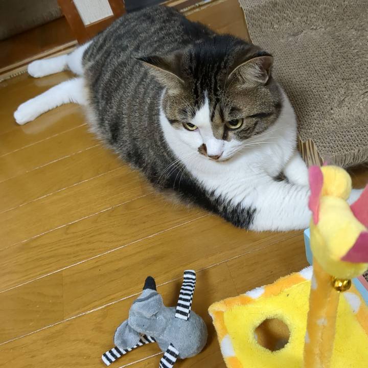 6c63857f 3ca5 441b 93f3 0437c03693d1 1687095969580