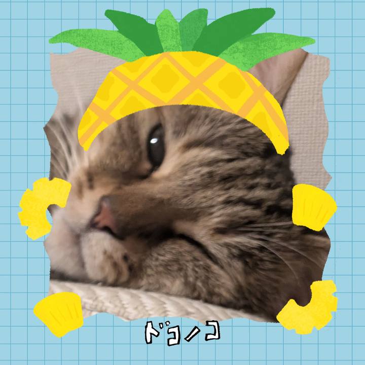 6c63ccea c8e5 4a51 9b07 e5fa4af947cc 1783460756415