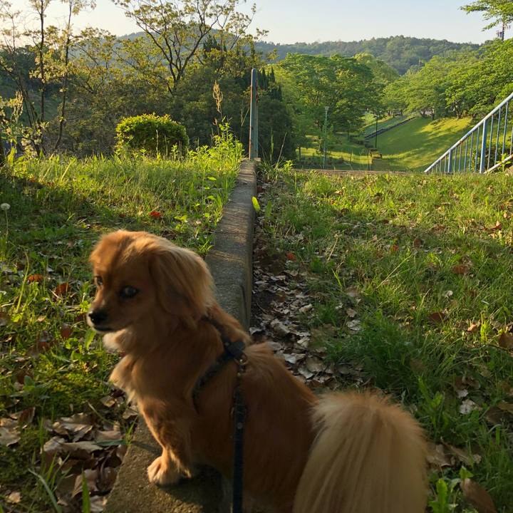 6c63d399 0e14 48bf a4d0 a11d03bb0910 1525472374928