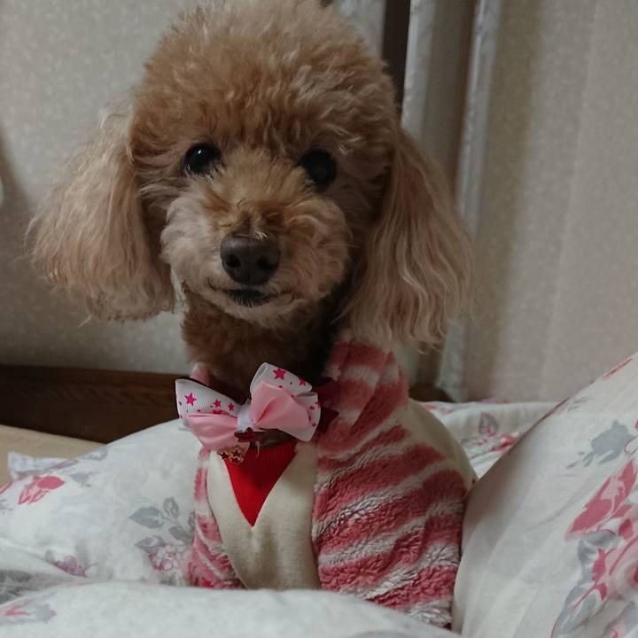 6c63dc9b e4ed 4654 a084 99735747e01d 1575068262781