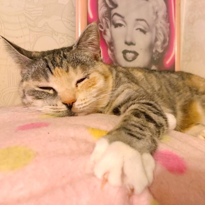 6c63de59 1e2b 4f8b b0af c34b4c96abd1 1550243366186