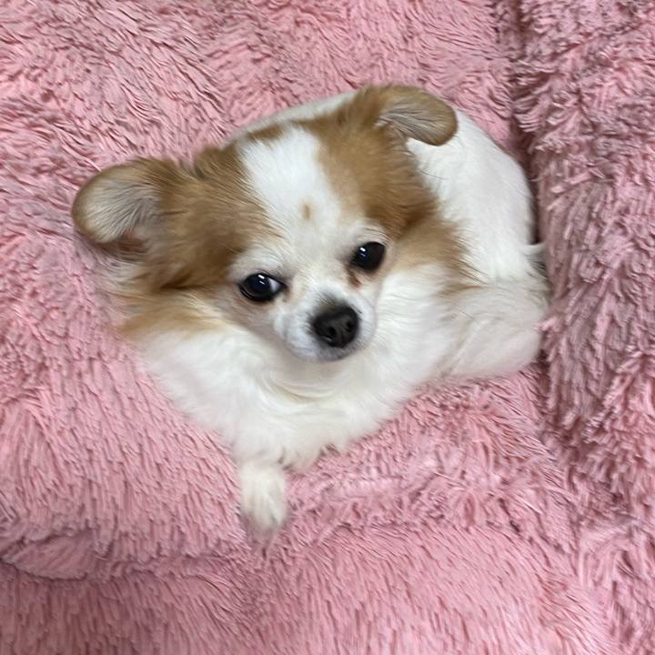 6c63e971 95db 46ff beed 7d218fddc721 1578731615786