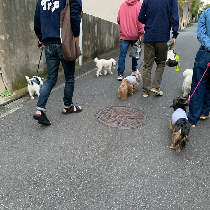 6c640e4e de33 453e a9b0 453d6b7ff015 1665218316527