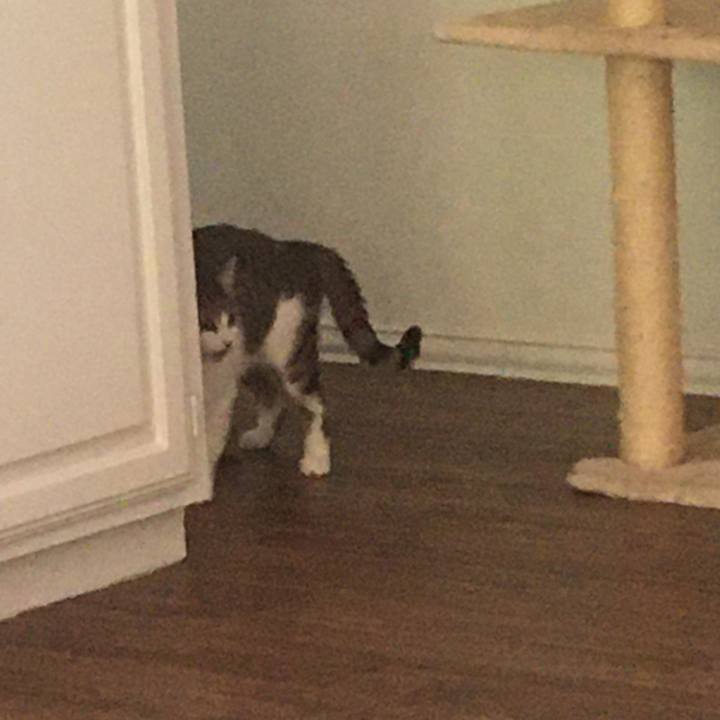 6c6412ef 1a00 458a b5e8 3a37bc8a6283 1657066479039