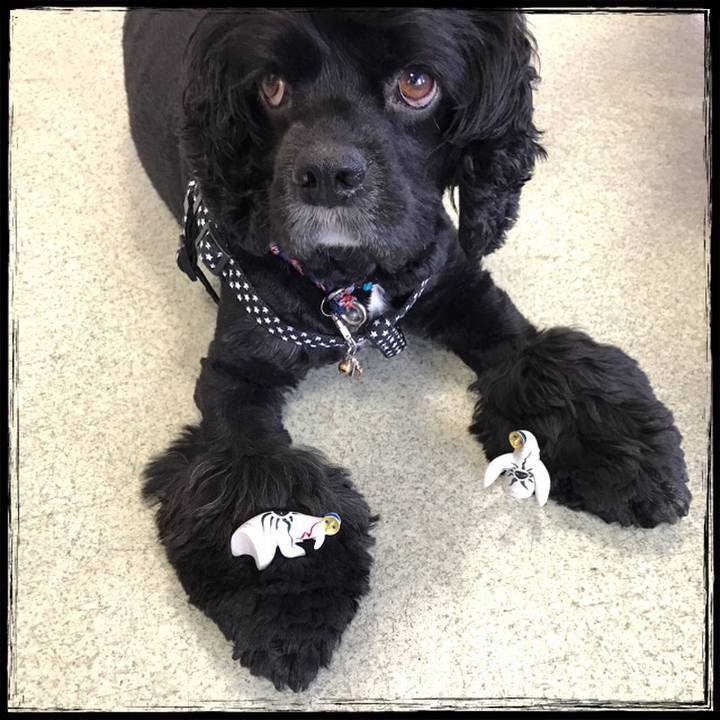 6c6480ef b0fa 40a3 85c5 b37dfc308f87 1532405568583