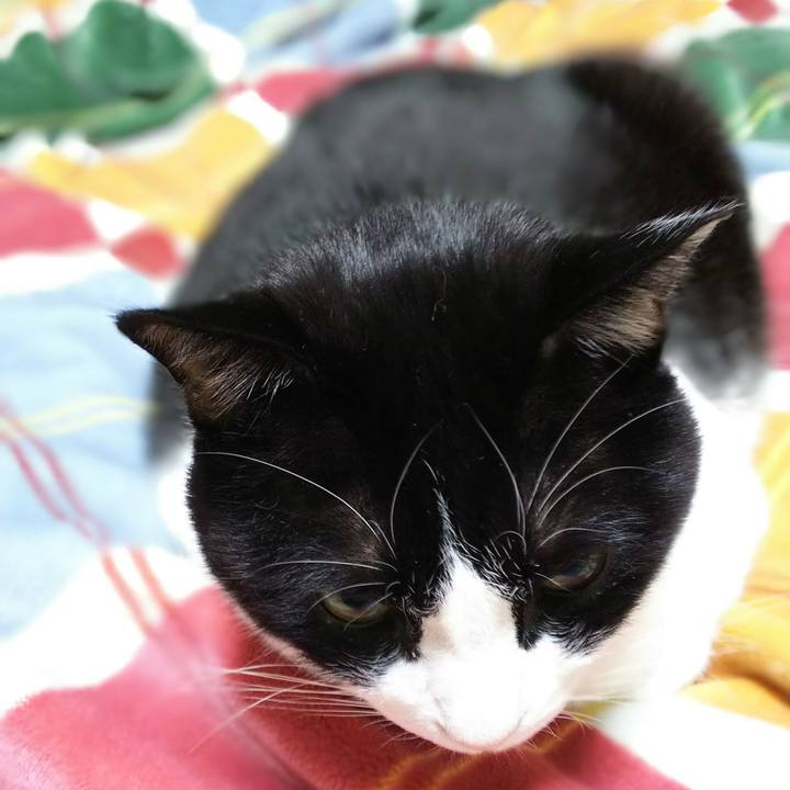 6c64c482 dc2c 43fe 934f d4e24dec2b0f 1542838507430