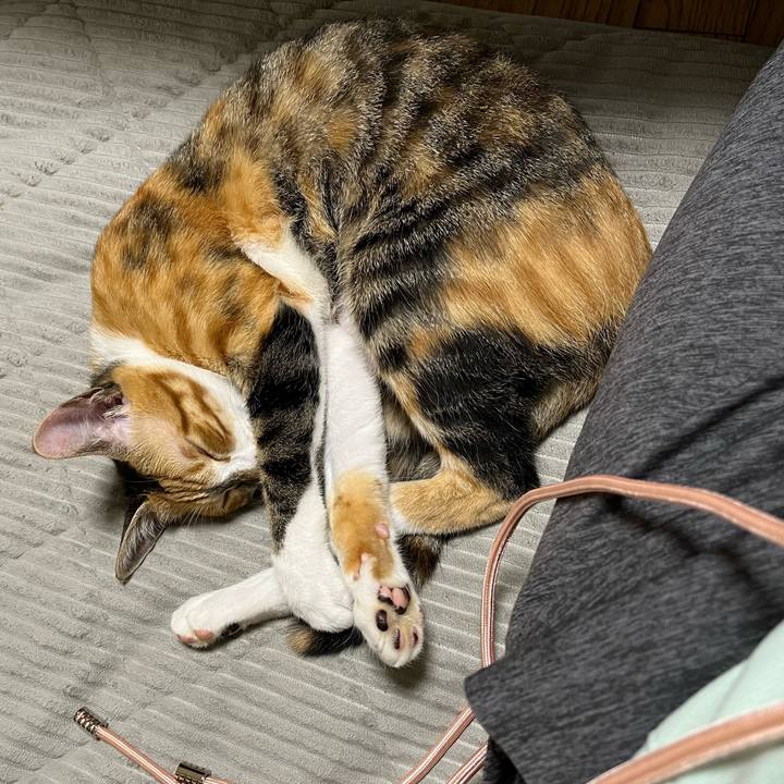 6c64da16 3c7b 49c0 b997 d5368b9eb7df 1664106862372