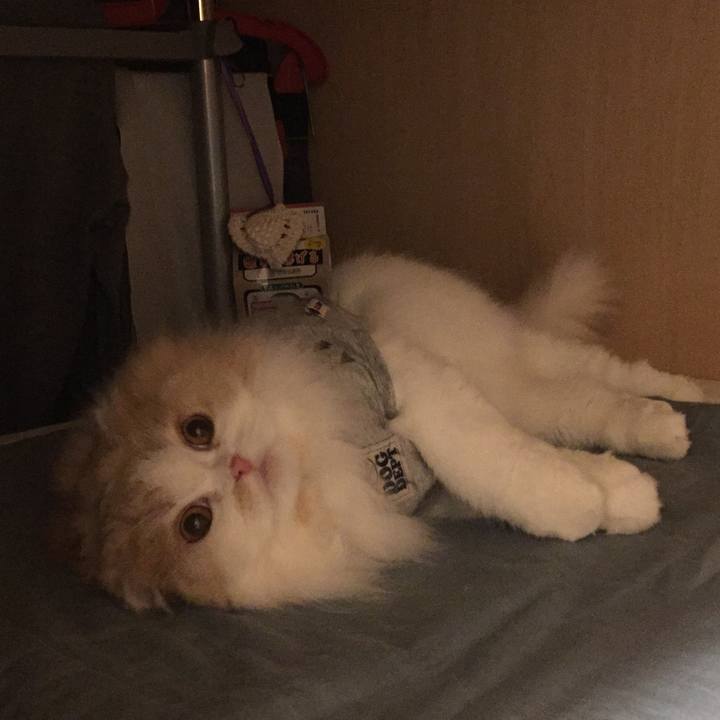 6c64e7f1 ebb1 4e2a 929c b394b405d322 1550934557894