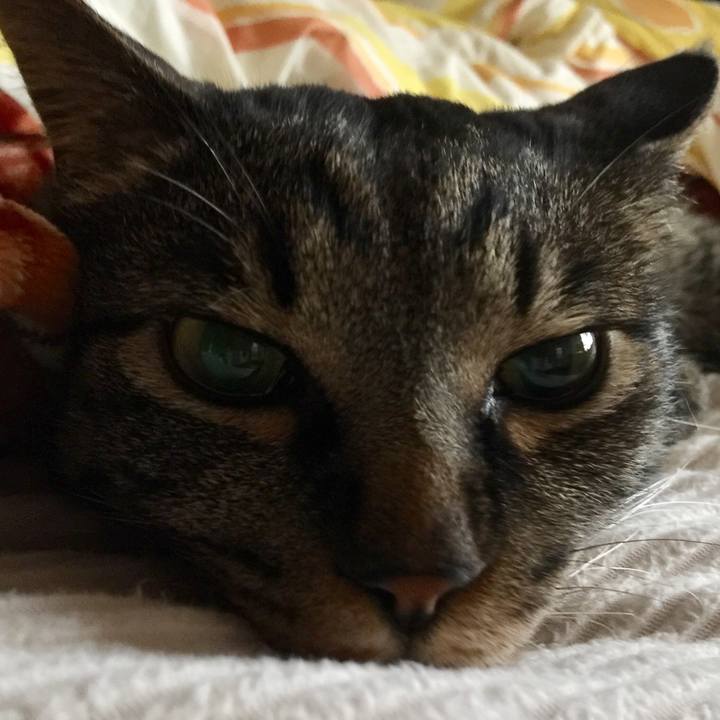 6c64ea96 f325 4fbb bbb6 922e270a566e 1562724873421