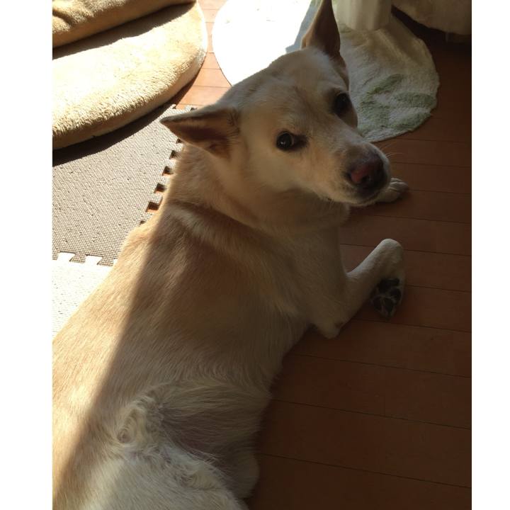 6c64f185 4ee1 4c63 a1fe 576963ff2d5c 1517026840839