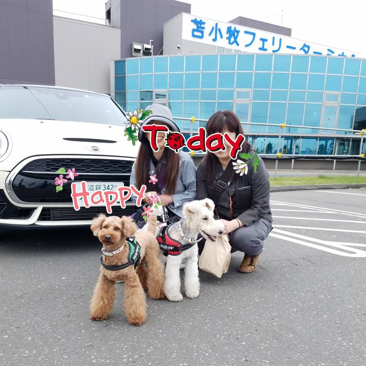 6c64f3cc 877c 4df5 acbb f3a54adf7230 1561877779580