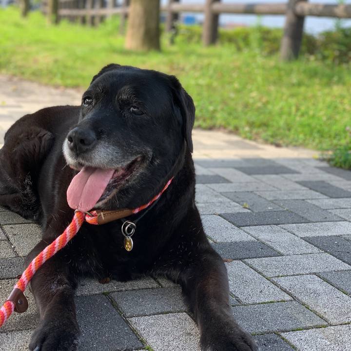 6c6577d9 0b33 4b30 961e 899fa0eda815 1625958521842