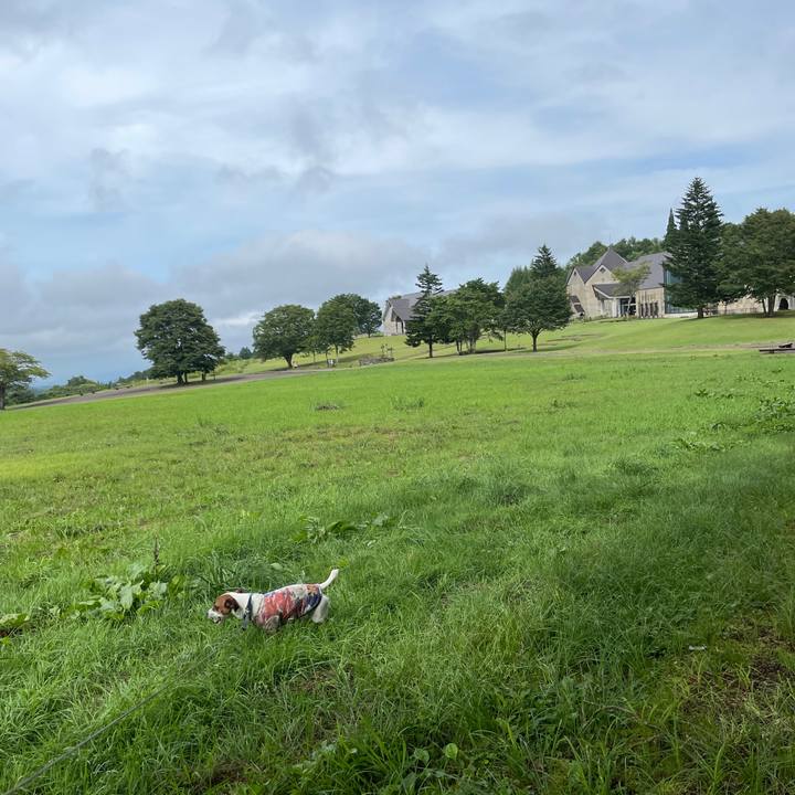 6c6593ad 69d4 4a30 a174 2da6105e4468 1628660841138