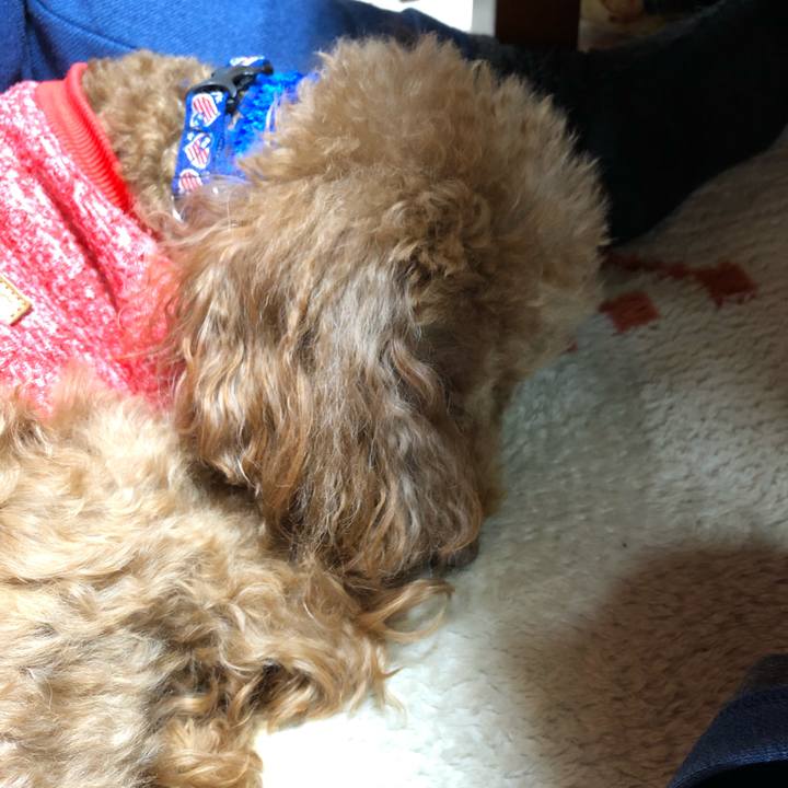 6c65f4e0 a6a0 46f1 91f1 b841c638386f 1583635476900