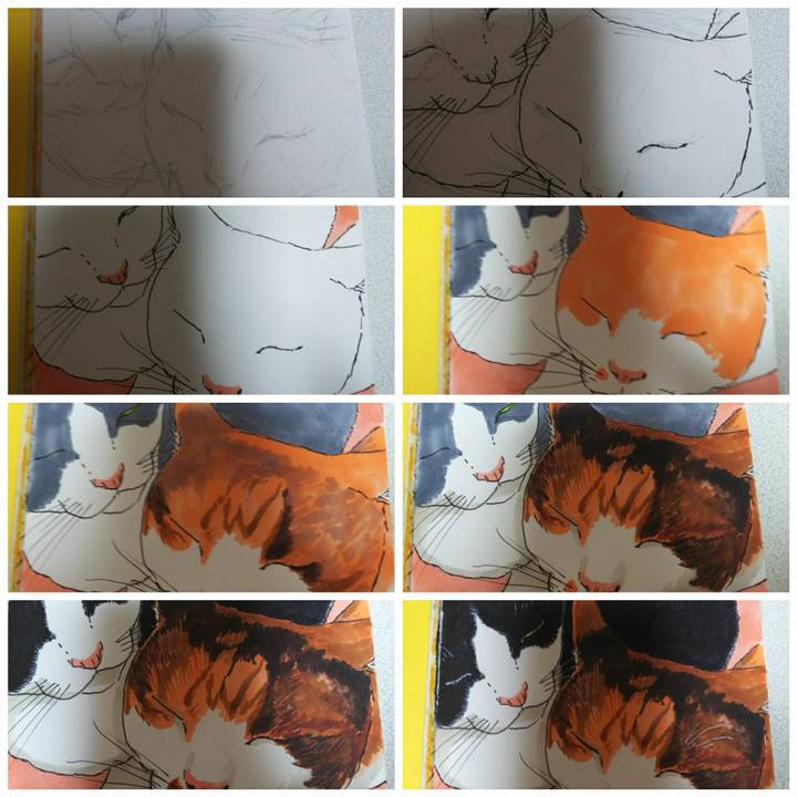 6c65f574 3da2 470a 8b9e 52d5ff60b4d0 1532834475485