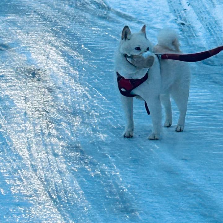 6c65fc95 574b 4dcc afea 8c8109ce16af 1767046819061