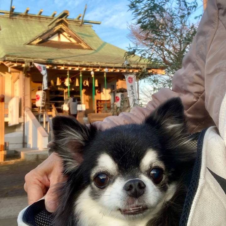 6c66137a 14b5 456b 8a3c 0b01325ef968 1767600838378