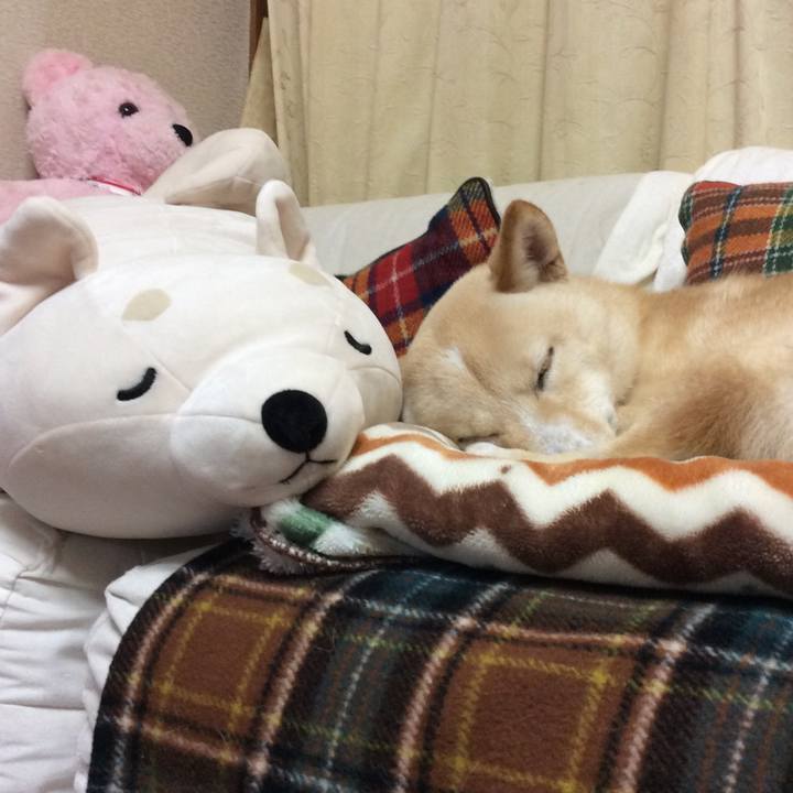 6c664d7d a435 4fb7 a4cf 9cce98477e8b 1511784901477