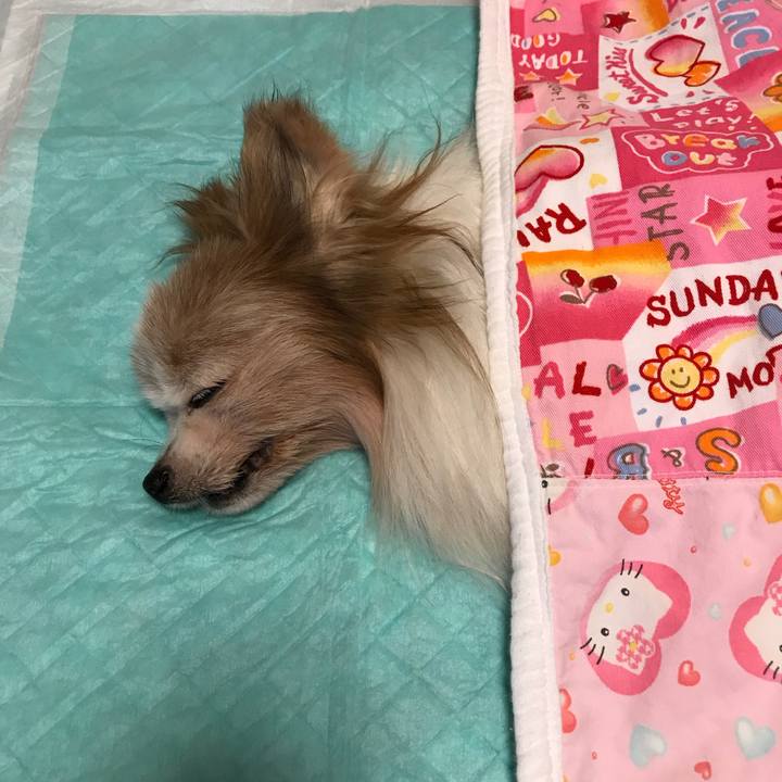 6c666562 abf6 4809 81cc 10ed793141dc 1534189492387