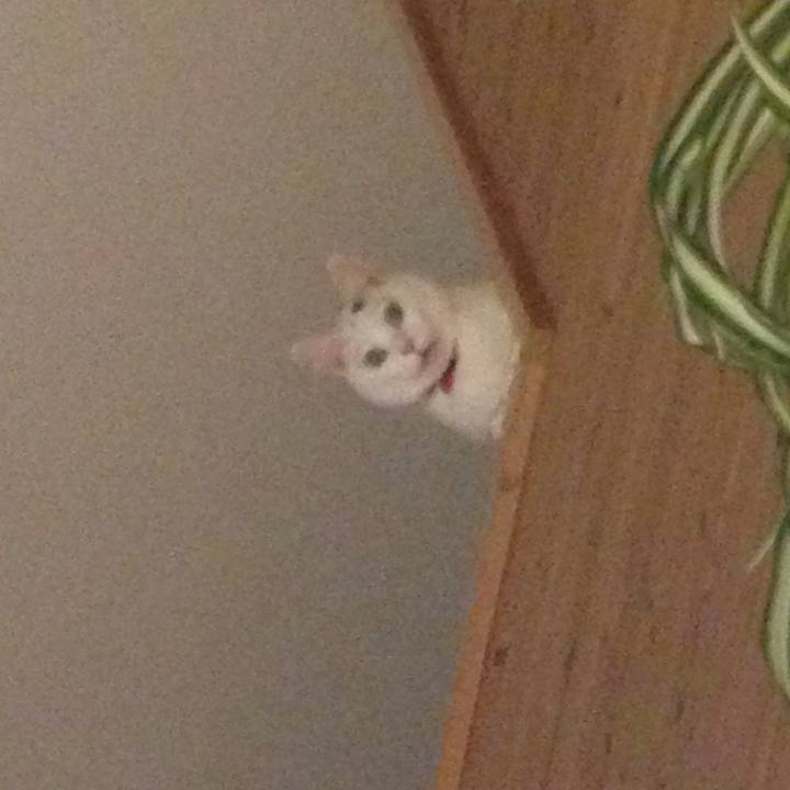 6c666e5e c008 4fb9 addc a924e79fb774 1515558870356