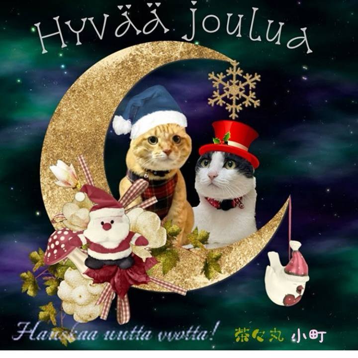 6c6694b8 a20d 47de 8da0 b84e26baef6e 1701907977625