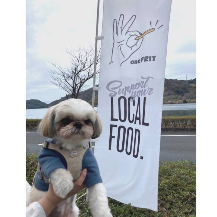 6c66c9a3 0d1b 4578 b403 ed26602d41f4 1644809142590