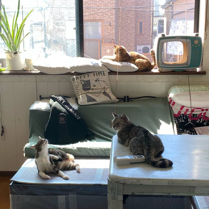 6c66da37 d60a 4072 825f 89c76b4c6ce8 1664745958903