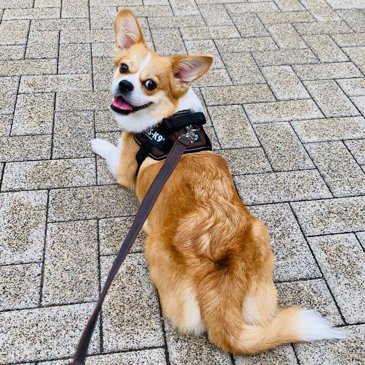 6c66f45c b817 48bc 8000 e346c27dbc26 1594085654796