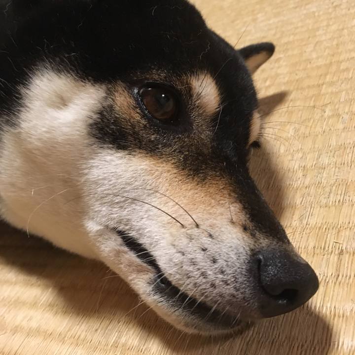 6c6700f0 7665 4f89 b429 7ca6025682c9 1562362721343