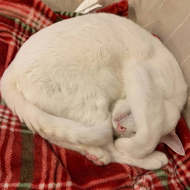 6c6704f9 9c97 4b64 b241 f225550d4582 1668330722185