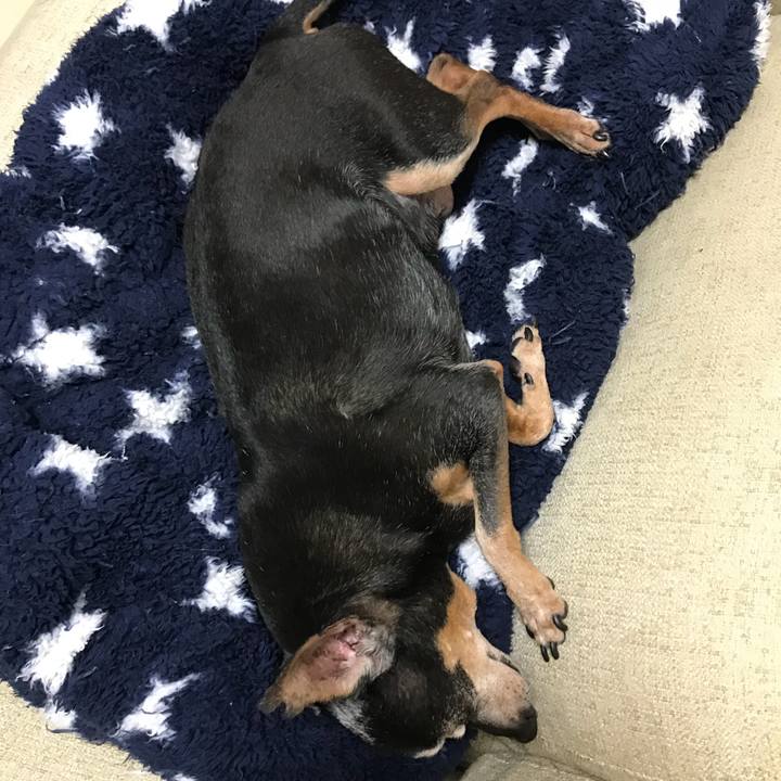 6c670a1f 05d5 4b3b 81a3 a7cb7f9de78a 1567980780764