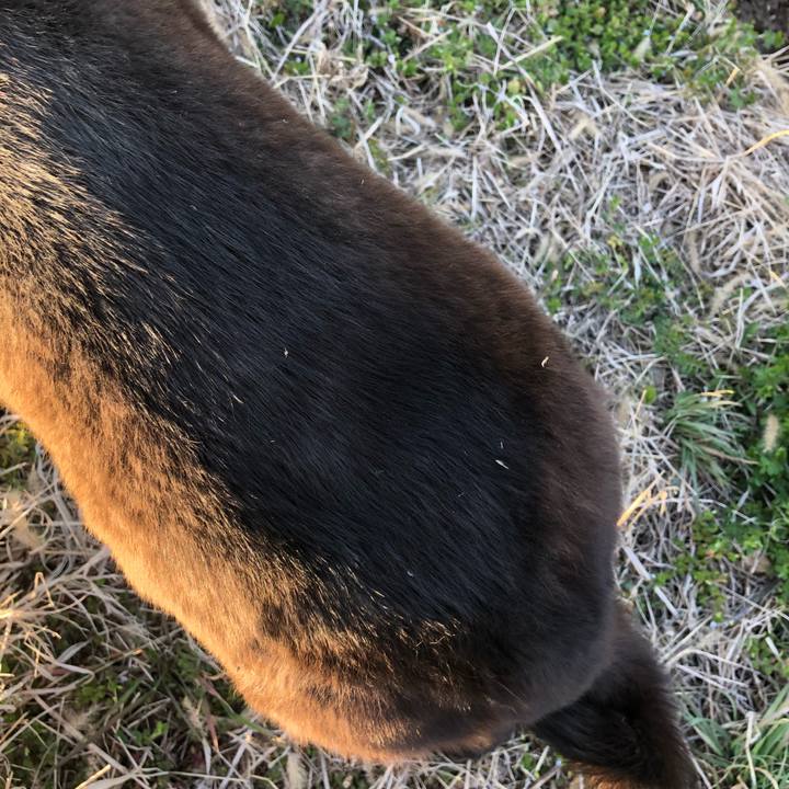 6c6771c0 c5a6 4d1b bb05 6f6abc74cf9f 1552464290901