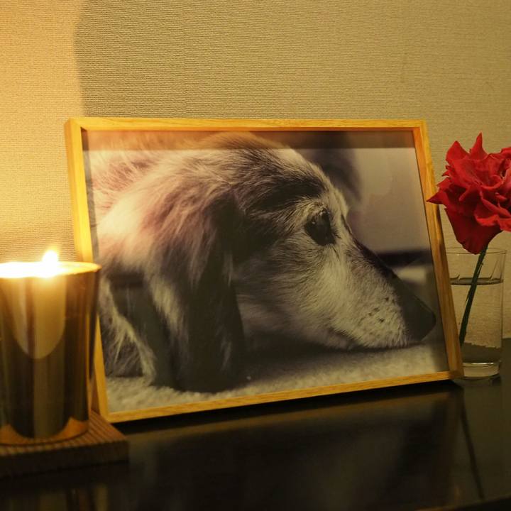 6c677f9d 9b94 40a1 9058 21f74d2d097c 1528297864458