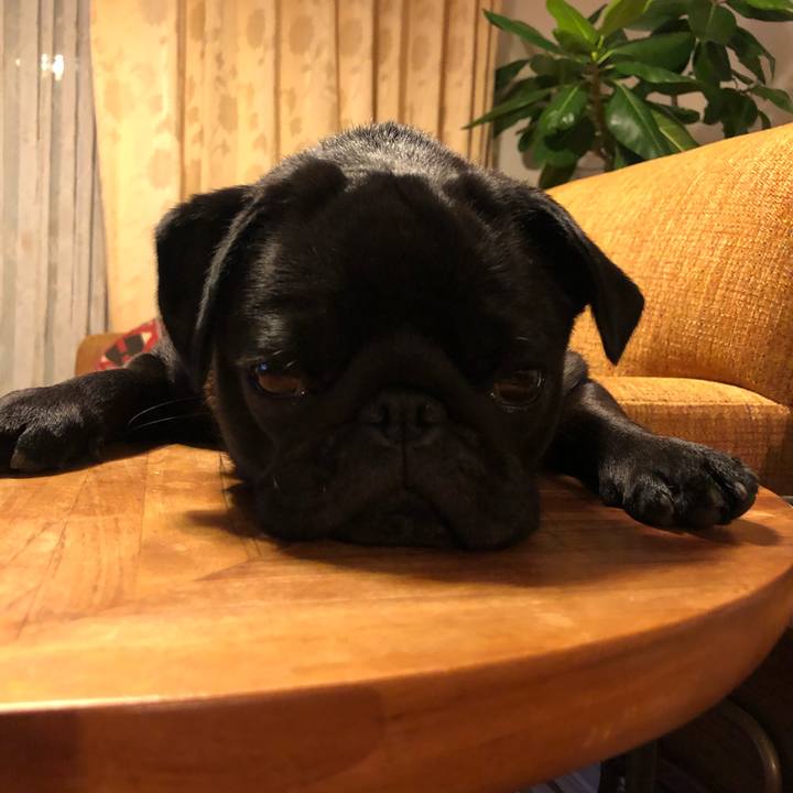 6c6788c5 5589 41fd bd92 cb407cbb88eb 1621851862263