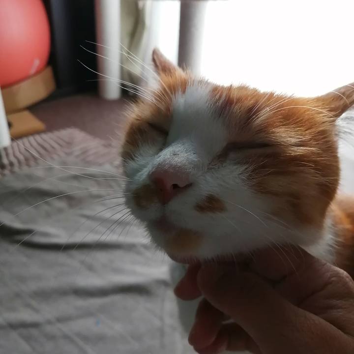 6c679935 b7d7 44e5 8643 240823553600 1634947876752