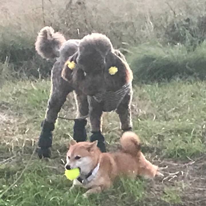 6c67b0ba 90b3 4cfb bd4f 2def62a5aea5 1542204040530