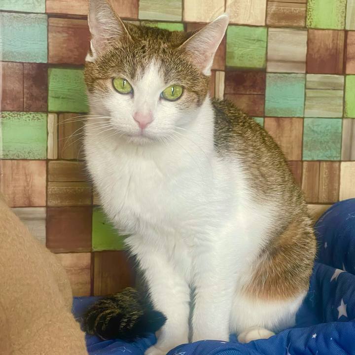 6c6801eb 5d49 4d31 a184 73bd722033a5 1636081885935