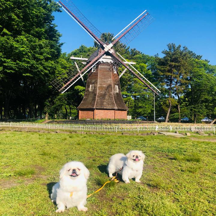 6c6853d7 83b1 46e6 a54e 211db9fe8eb9 1620438918659