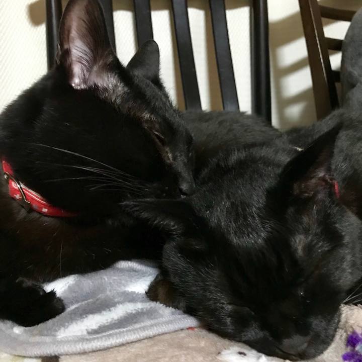 6c68597d 83e1 4c87 83e2 676213023140 1521298794167