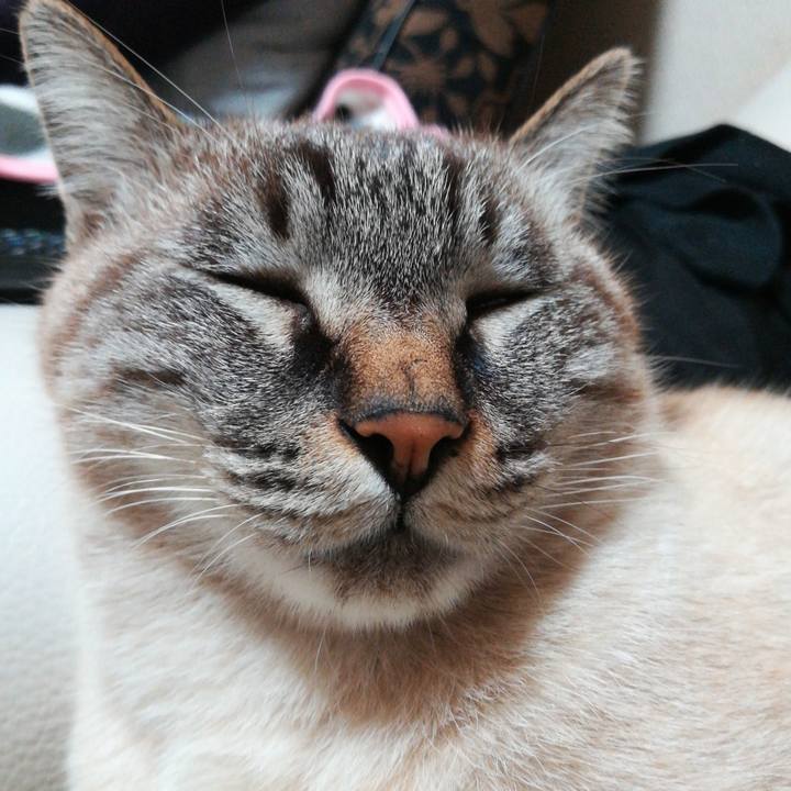 6c6859d8 c59b 4d8d a995 dac5611b8325 1574336821929